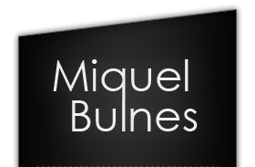 Miquel Bulnes